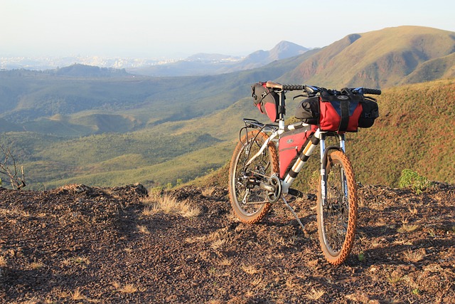 Scopri le Caratteristiche Essenziali per Scegliere la Borsa da Bici Giusta per Te!